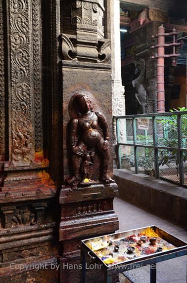 Meenakshi Temple, Madurai,_DSC_8100_H600